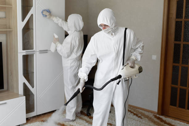 Professional Mold Remediation in Kings Mountain, NC